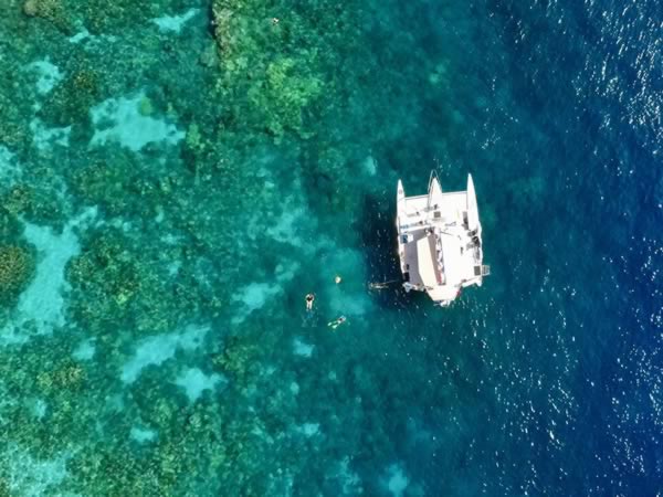 Sea Paradise